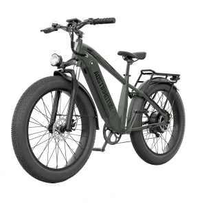 Aostirmotor 52V All-Terrain Electric Bike King | 1000W Brushless Motor | 52V 15Ah Lithium-Ion (Removable) Battery | Capacity 300lbs