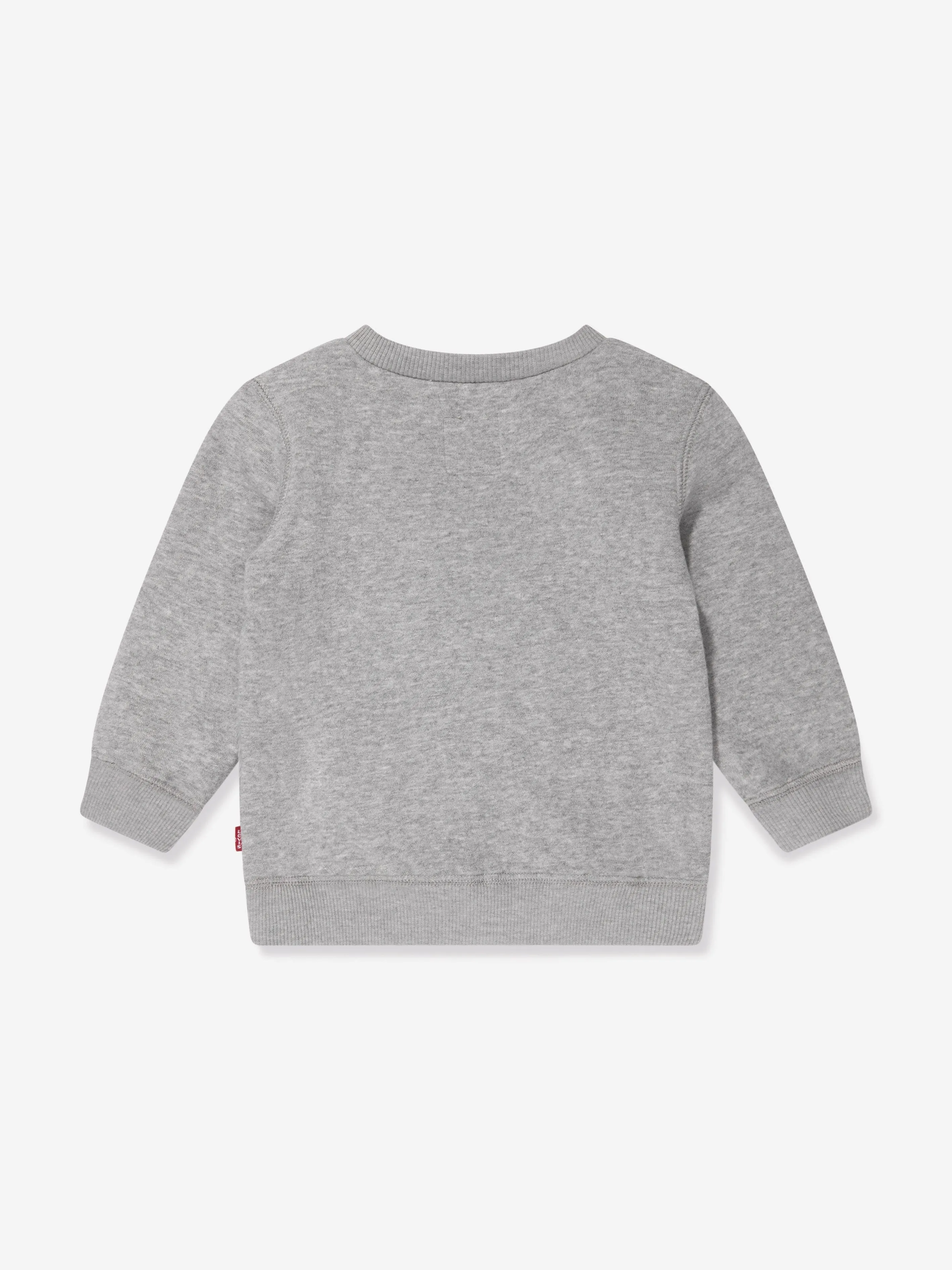 Baby Boys Batwing Crewneck Sweatshirt in Grey