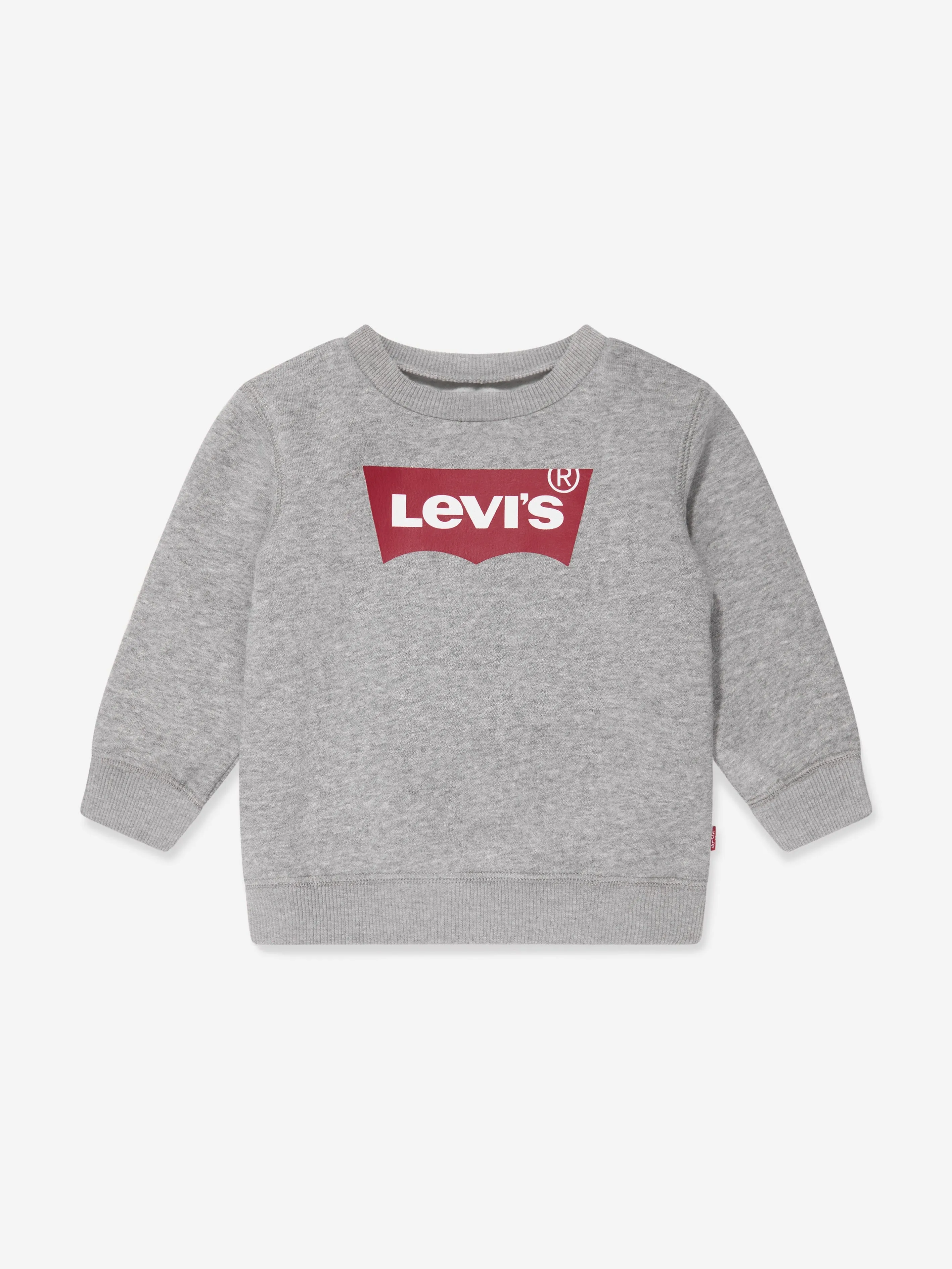 Baby Boys Batwing Crewneck Sweatshirt in Grey