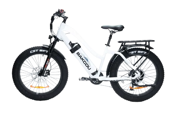 Bakcou E Bikes Flatlander Step-Through (ST) 24" Tires Full Suspension Electric Bikes | 750W Motor | 48V Battery