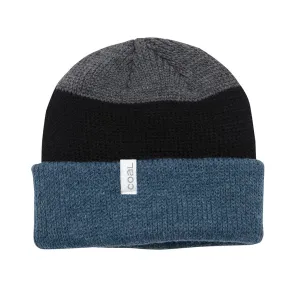 Coal The Frena Kids Beanie - Heather Slate Stripe