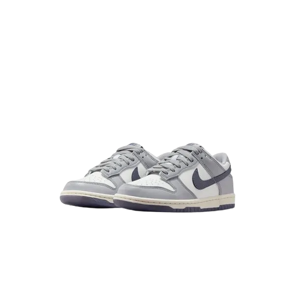 Dunk Low Light Carbon