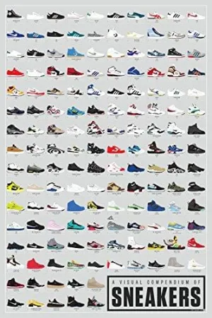 Pop Chart Lab P3 Visual Compendium of Sneakers Poster Print, 24" x 36", Multicolored, Multi