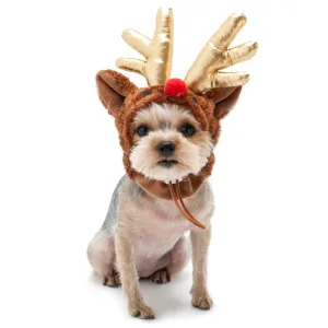 Rudolph Hat